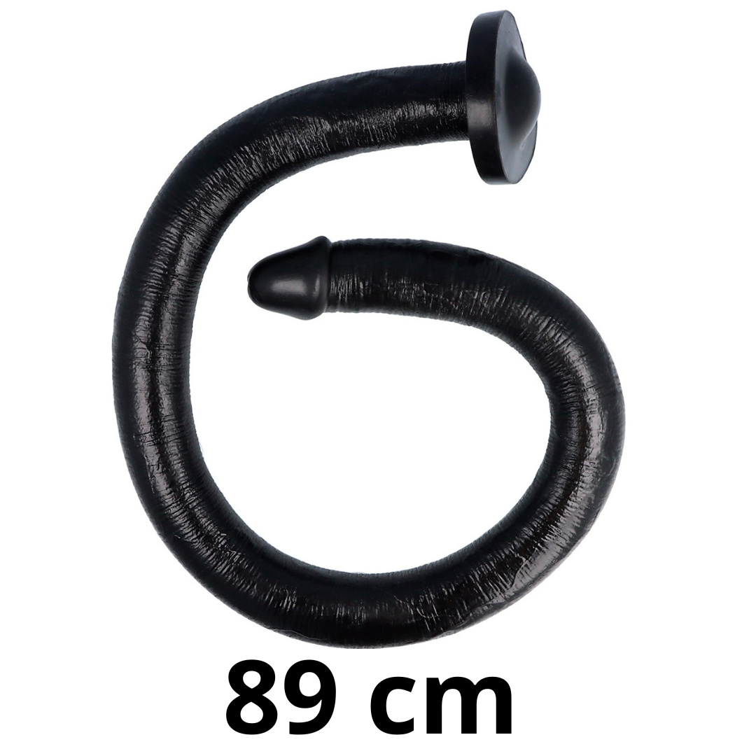 SW4