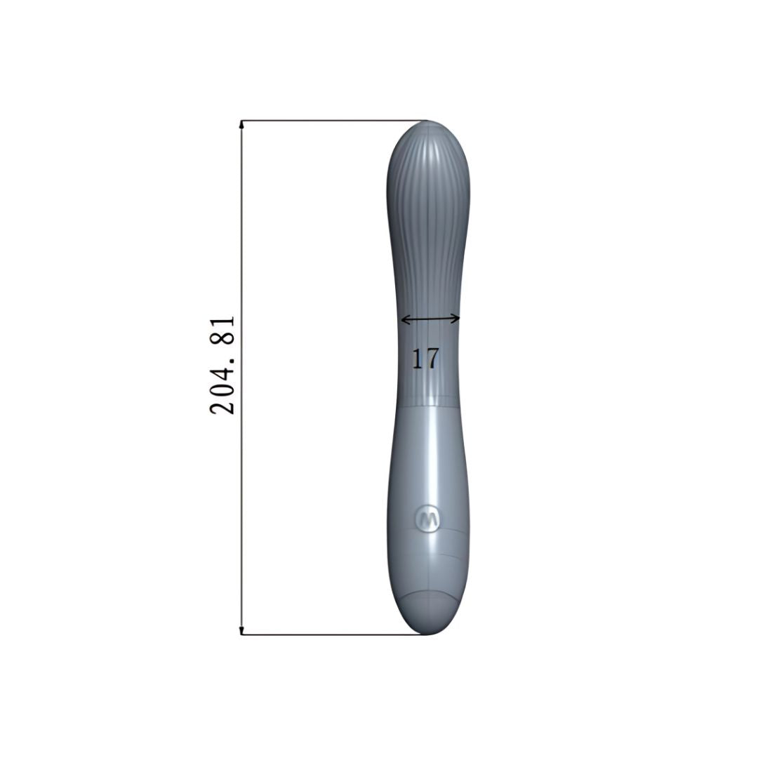 SinsFactory - Flexi G-Spot - Nero