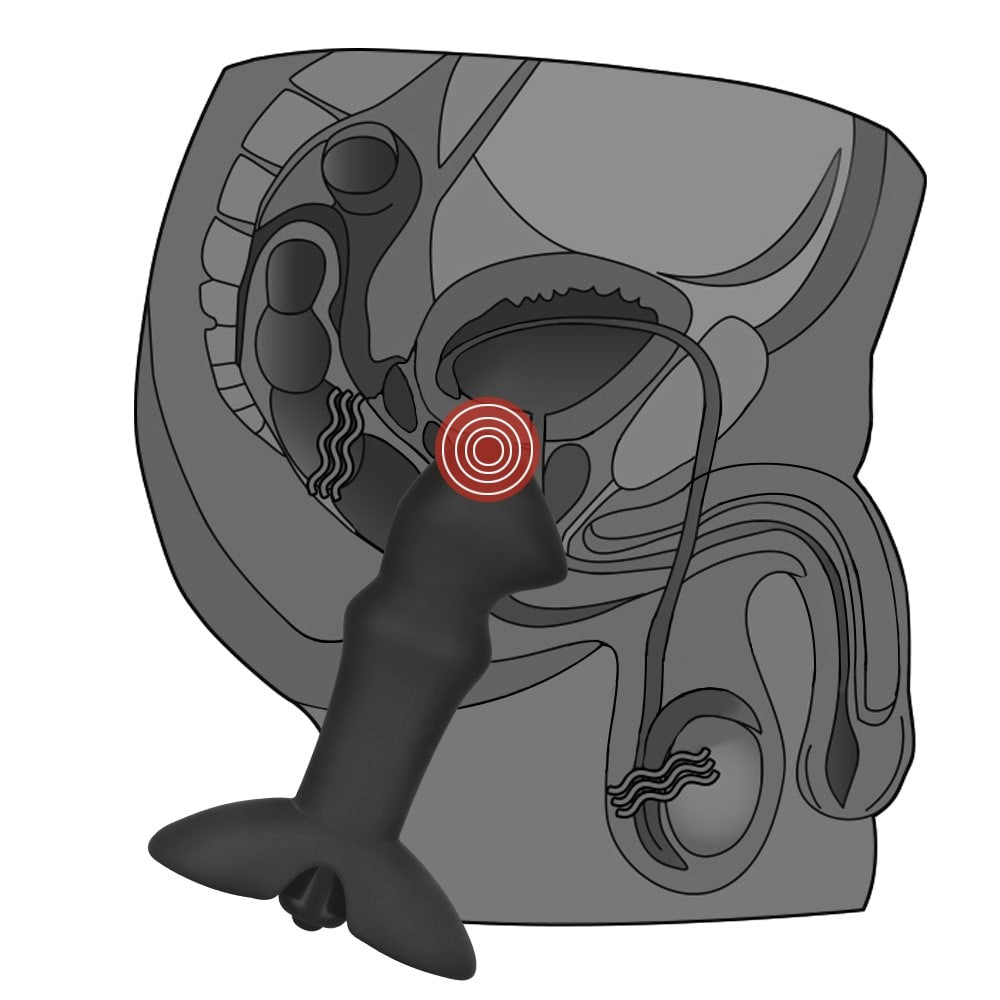 Collezione Anal Indulgence Prostate Stud