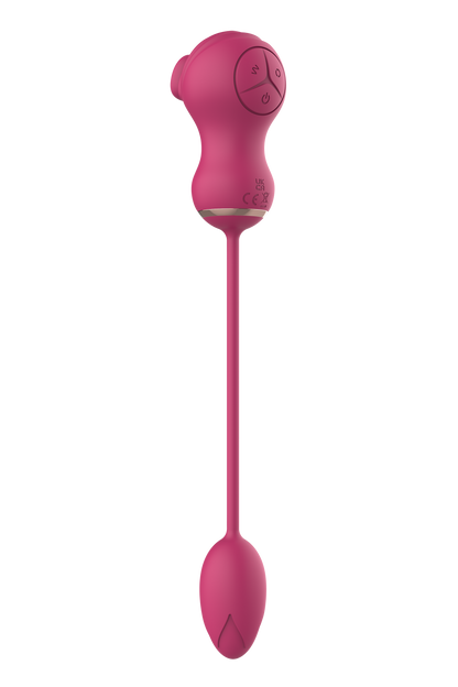 ESSENTIALS DOPPIO STIMOLATORE FLESSIBILE E UOVO VIBRANTE ROSA