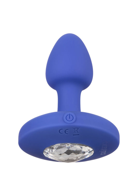 Sonda vibrante piccola blu