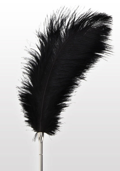 Feather Tickler nero