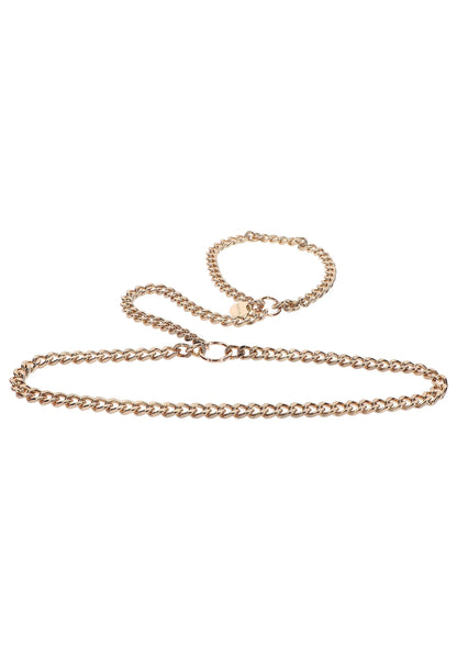 Dichiarazione Harness oro